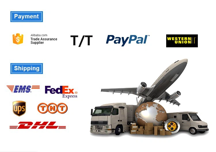 payment and shipping of magnet