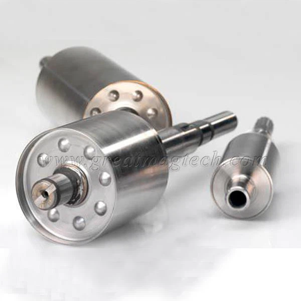 Permanent Magnet Rotor
