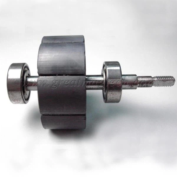 Permanent Magnet Rotor