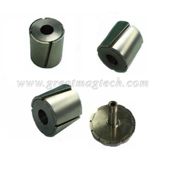 Permanent Magnet Rotor
